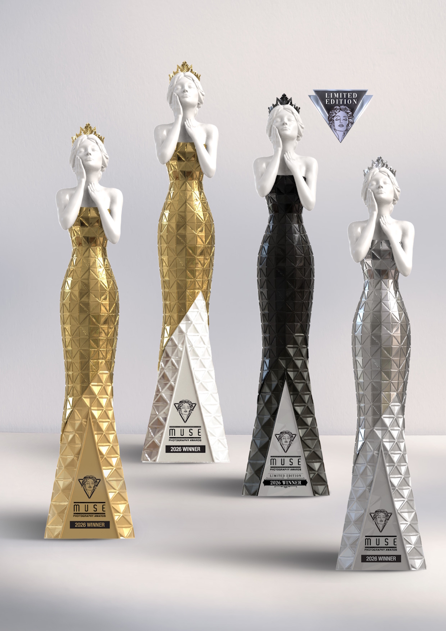 2026 MUSE Photography Awards Statuettes, MUSE Photography Awards Trophy