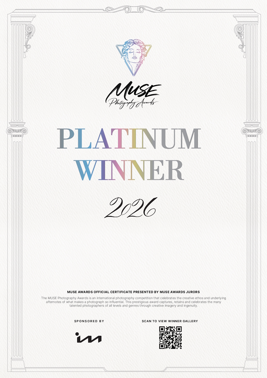 2026 MUSE Photography Awards Certificate