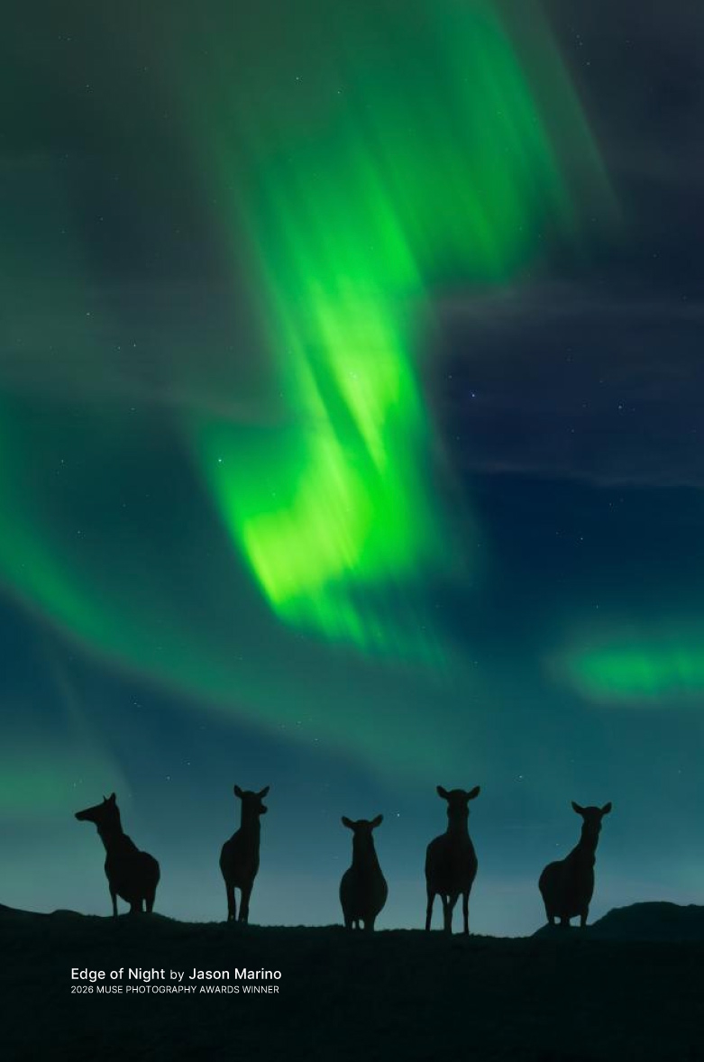 2026 MUSE Photographer Awards - Nature Photography Winner (Professional) - Edge of Night by Jason Marino Photography
