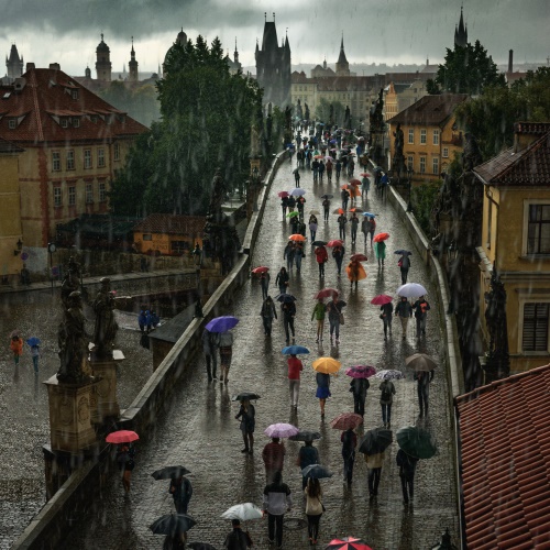 MUSE Photography Awards Gold Winner - Umbrella party by Richard Horák