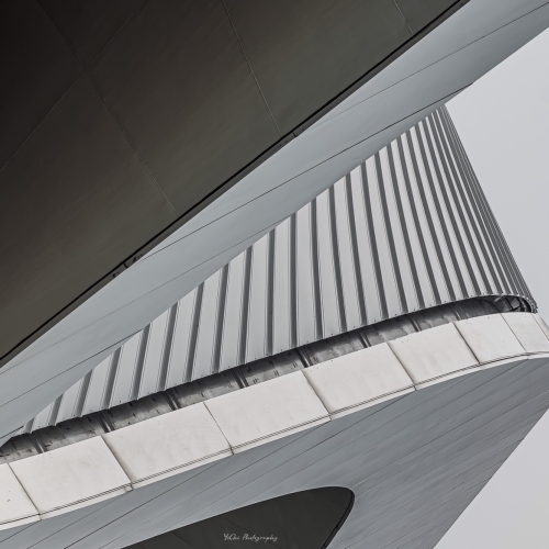 MUSE Photography Awards Silver Winner - whale by 易祈 吳