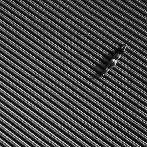 MUSE Photography Awards Category Winners of the Year Winner - Lines by Erdély Bálint Előd