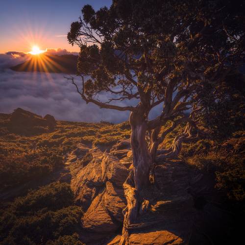 MUSE Photography Awards Gold Winner - Sunrise by Yen Cheng Fu