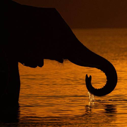 MUSE Photography Awards Silver Winner - No9 Evening Drink by Tim Driman