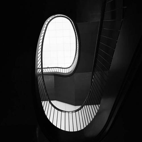 MUSE Photography Awards Silver Winner - life by Zenria Tsai