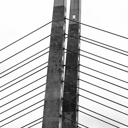 MUSE Photography Awards Silver Winner - The Green Bridge by Tiger Bite Photography