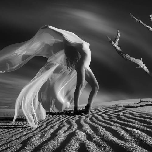 The wind - Photography Winner
