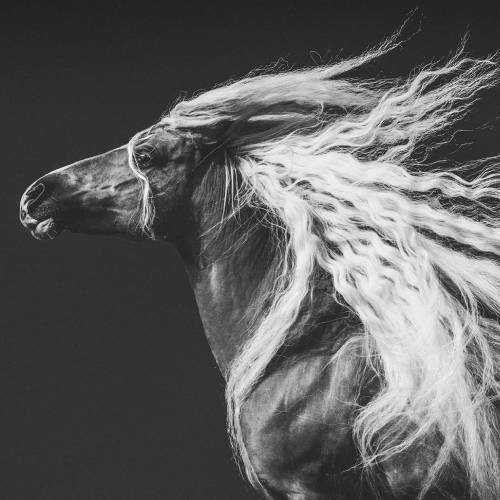 MUSE Photography Awards Gold Winner - Moving through time and space  by Cécile Zahorka