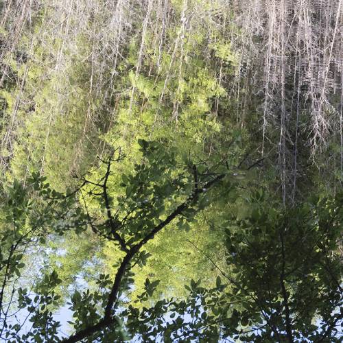 MUSE Photography Awards Silver Winner - In My Dreams I Found a Peaceful Place by Karen Jordan Images