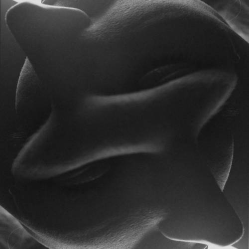 MUSE Photography Awards Silver Winner - Two Faced by Mark Dornfeld