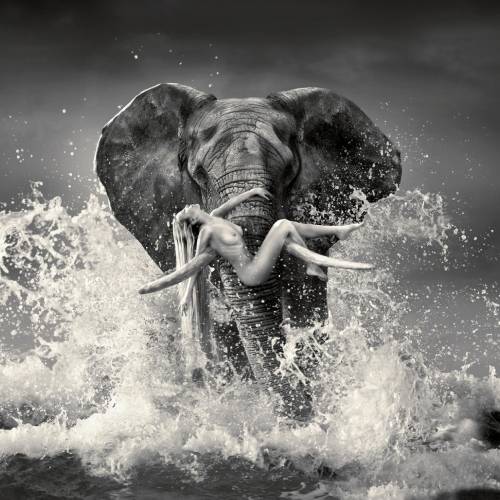 Where Is Adam? - Photography Winner