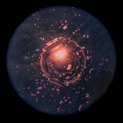 MUSE Photography Awards Gold Winner - From Grape to Stars by Patrick Desgraupes
