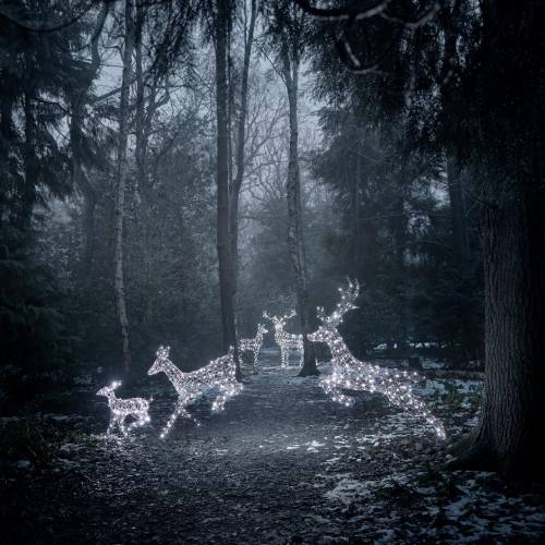 MUSE Photography Awards Gold Winner - Harlow Reindeer Collection by Lights4fun