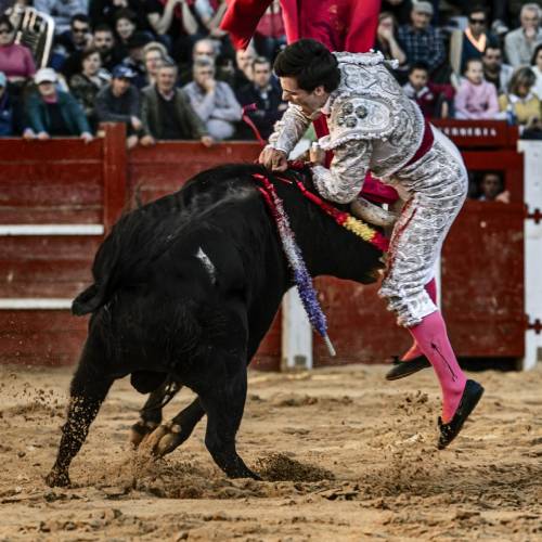 MUSE Photography Awards Gold Winner - Maletilla Success by Jordi Cohen  Free-lance