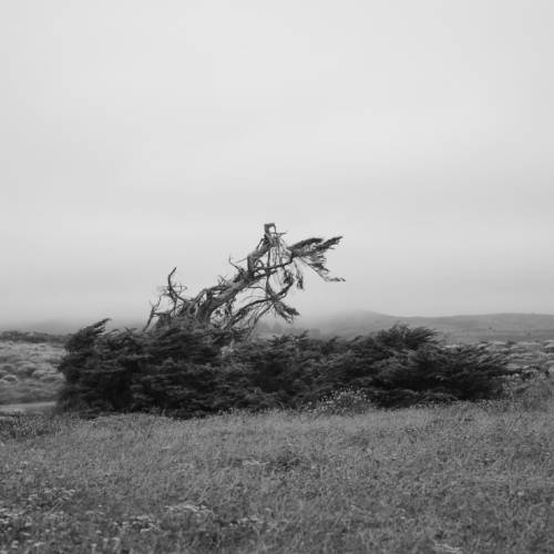 MUSE Photography Awards Silver Winner - Requiem, 2021 by Hunyoung Suh Howard