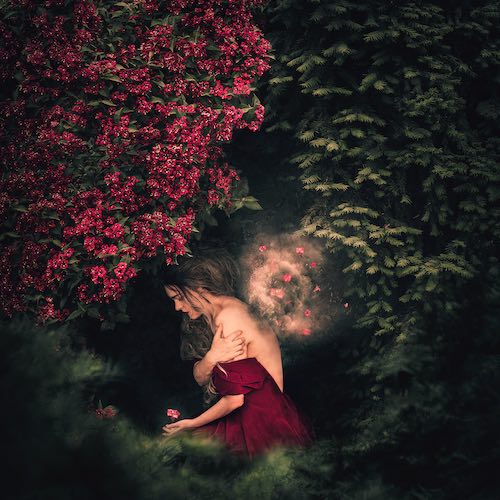 MUSE Photography Awards Silver Winner - A link between two worlds by Zsofia Darago