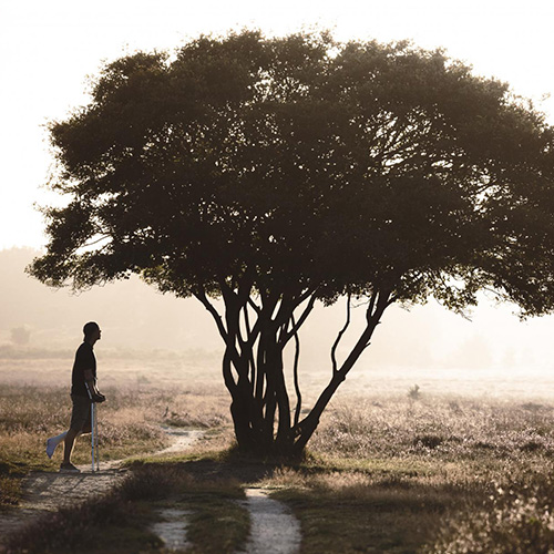 MUSE Photography Awards Gold Winner - Interrupted Growth by Mike Tesselaar