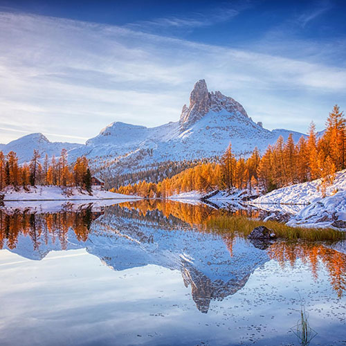 glowing larchs - Photography Winner