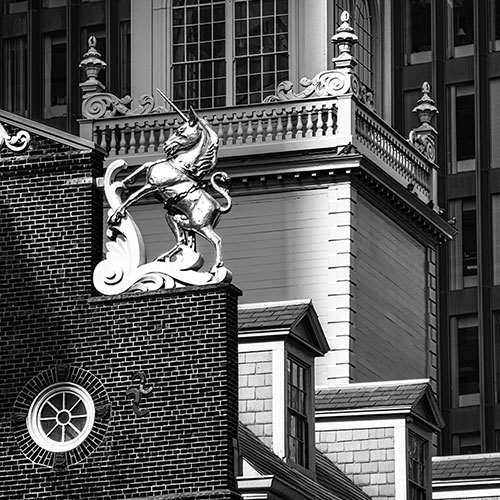 Boston Unicorn - Photography Winner