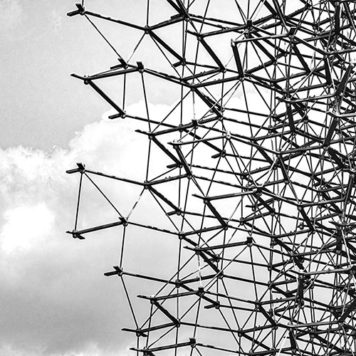 MUSE Photography Awards Silver Winner - Growth by Glenn Goldman