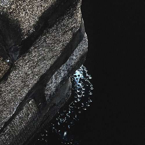 MUSE Photography Awards Gold Winner - Ice crystals by Huang, CaiTi