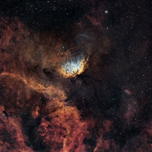 MUSE Photography Awards Gold Winner - Tulip Nebula by Steven de Vet