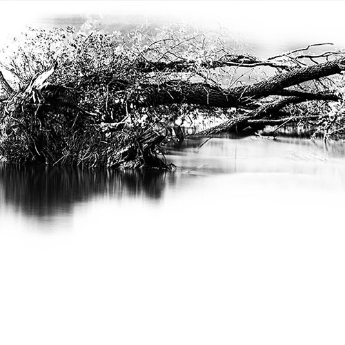 MUSE Photography Awards Silver Winner - Stranded by Don Hooper