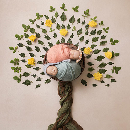 MUSE Photography Awards Silver Winner - The Tree of Life. by Wen Huan Huang