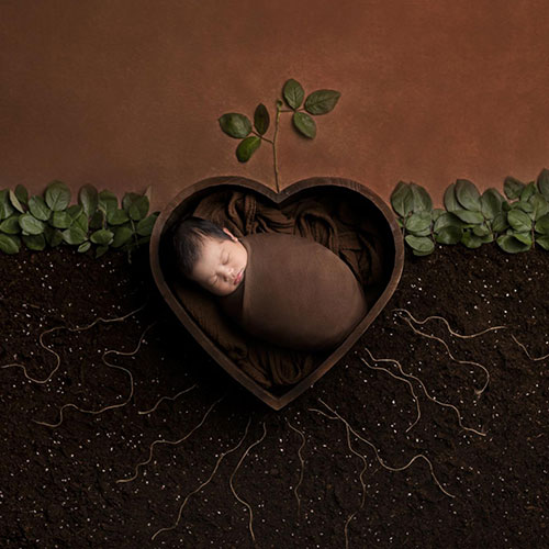 MUSE Photography Awards Silver Winner - Seed Germination. by Wen Huan Huang