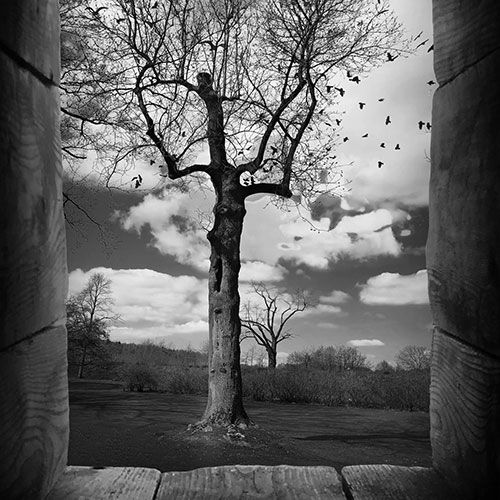MUSE Photography Awards Silver Winner - Window by Christoph Woloszyn