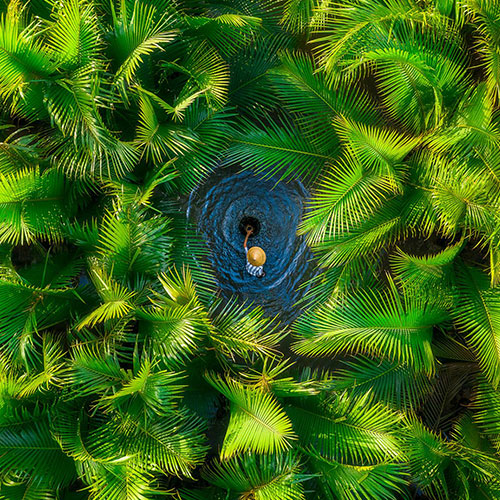 MUSE Photography Awards Platinum Winner - The fishing man in nipa palm forest by Khanh Phan