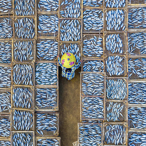 MUSE Photography Awards Platinum Winner - Drying fish by Khanh Phan