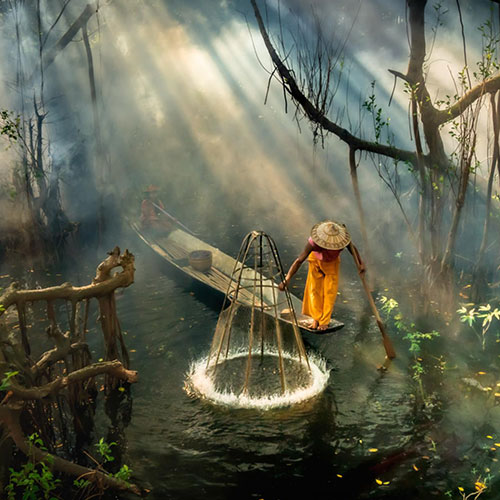 MUSE Photography Awards Category Winners of the Year Winner - Mangrove Fisherman by Chin Leong Teo