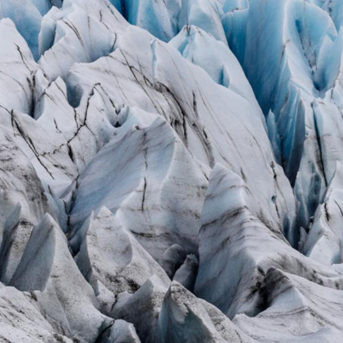 MUSE Photography Awards Gold Winner - Wild by nature by Helge Garke