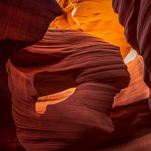 MUSE Photography Awards Silver Winner - Majestic by Christina McBride