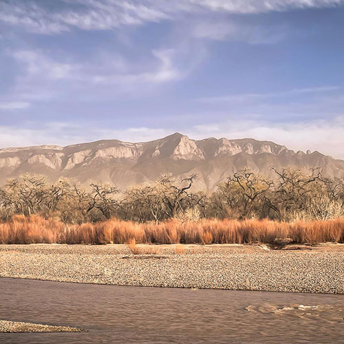 MUSE Photography Awards Gold Winner - Dusty by Christina McBride