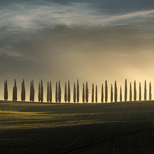 MUSE Photography Awards Gold Winner - Moment of Bliss by ALBERTO FORNASARI