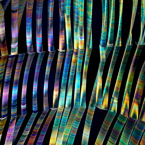 MUSE Photography Awards Gold Winner - Light and Transformation by Jhan Park