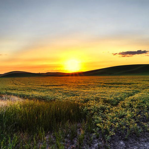 MUSE Photography Awards Silver Winner - Sunrise Di Cece by Nathan Myhrvold