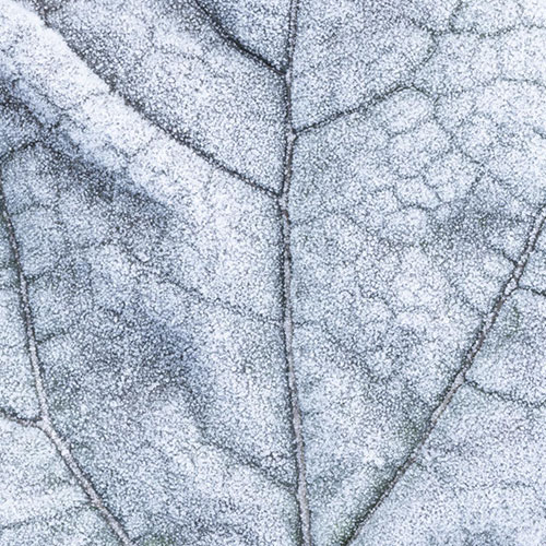 MUSE Photography Awards Silver Winner - 391 by Tomasz Kudelski