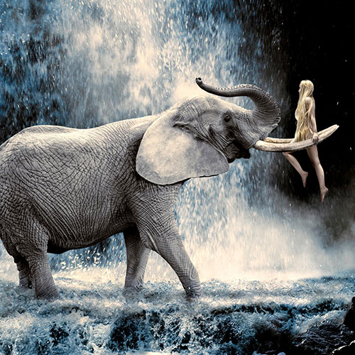 MUSE Photography Awards Gold Winner - Uplifting by Cheraine Collette