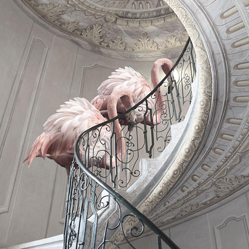 MUSE Photography Awards Gold Winner - Golden Ratio by Cheraine Collette