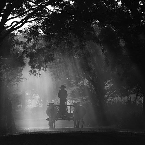 MUSE Photography Awards Gold Winner - country road by Zac Em
