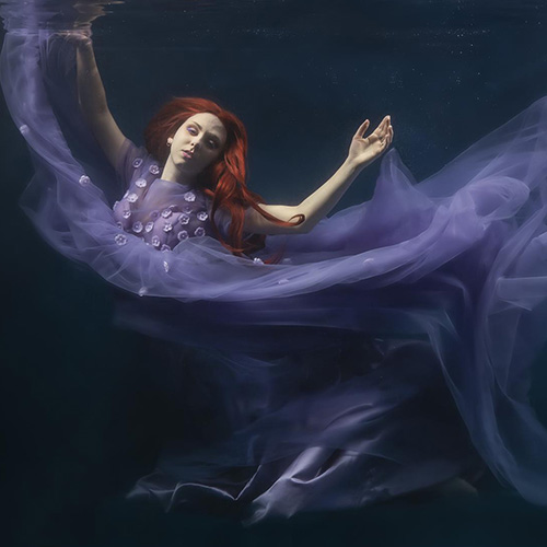 MUSE Photography Awards Gold Winner - Free fall by ARUN MOHANRAJ