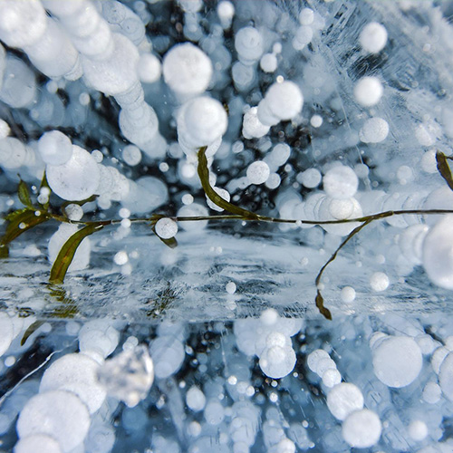 MUSE Photography Awards Silver Winner - Frozen by Hsiaohsin Chen