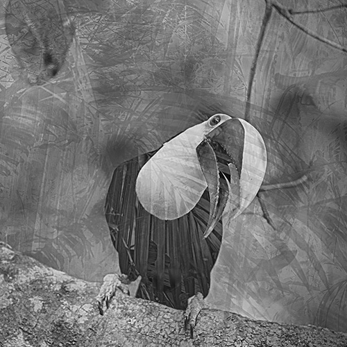 MUSE Photography Awards Silver Winner - Camuflaje by Andrés Gómez Salazar