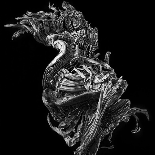 MUSE Photography Awards Silver Winner - From the tree or the ground bellow... by Andrés Gómez Salazar