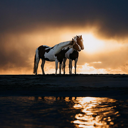 MUSE Photography Awards Gold Winner - brothers under the sun by Anna Panke