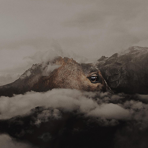 MUSE Photography Awards Gold Winner - i'm in a dream by Anna Panke