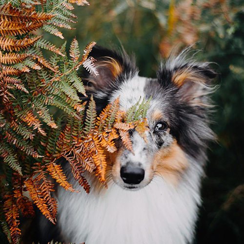 MUSE Photography Awards Gold Winner - hide and seek by Anna Panke